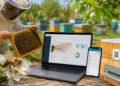 QR-коды для пчел и цифровые пасеки: в Казахстане разработали инновационную платформу Apislab