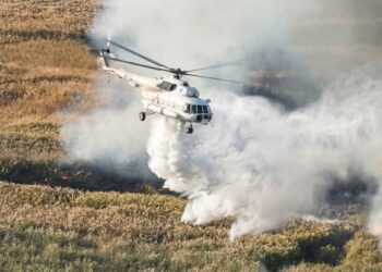 Спасатели локализовали крупный пожар в камышовых зарослях Алаколя