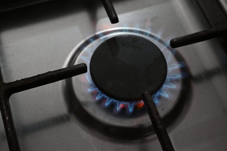 К 2030 году уровень газификации области Жетісу превысит 93%