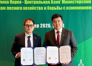 Казахстан и Корея расширяют сотрудничество в лесной сфере