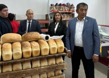 В Талдыкоргане проверили соблюдение требований при реализации продуктов