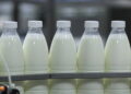 Молочная отрасль Казахстана демонстрирует рост производства и расширение экспорта