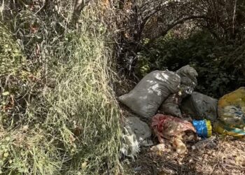 Красота под толщей мусора близ Жаркента