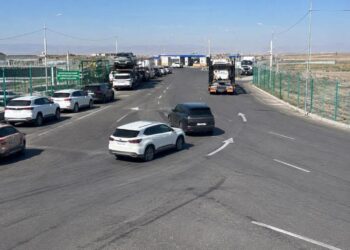 В Жетісу нашли способ сократить очереди на границе с Китаем