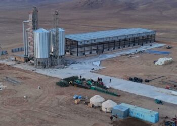 Новый комбикормовый завод появится в Кербулакском районе