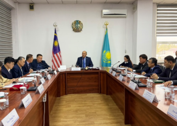 В Панфиловском районе представили проект экогорода Алтынколь