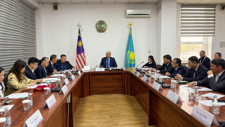 В Панфиловском районе представили проект экогорода Алтынколь