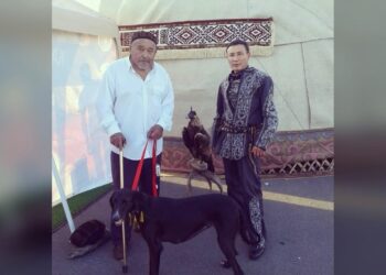 Мастерство обучения тазы Орынтая Казакбайулы