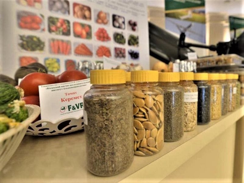 В области Жетысу развивают семеноводство