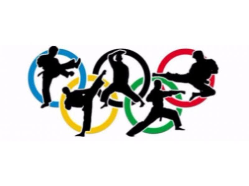 В Талдыкоргане сразились каратисты