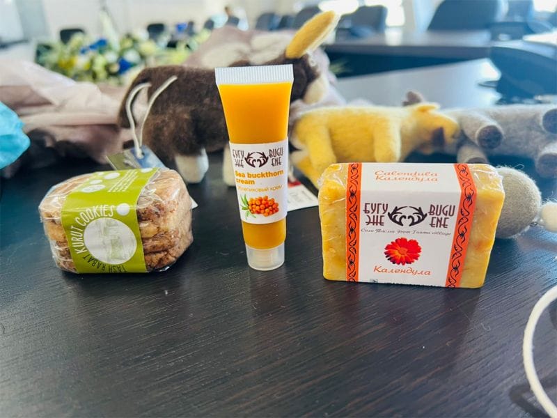 Опыт Кыргызстана - в регионы Жетісу