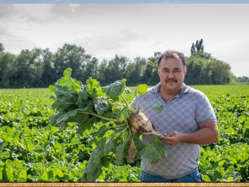 Аксуский завод вновь введен в эксплуатацию - Исабаев