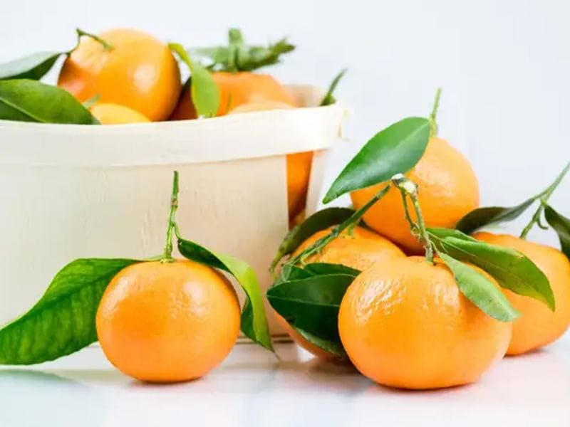 Откуда в Казахстан привозят самое новогоднее лакомство