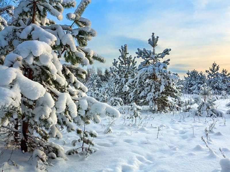 Полиция региона активизировала рейды в рамках отработки «Шырша»