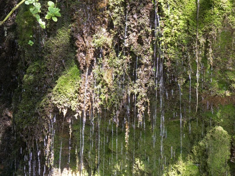 Плачущий родник Тамшыбулак в Жетicу: загадка века