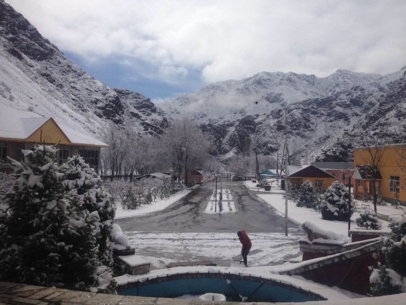 Золотое качество «Жаркент-Арасана»