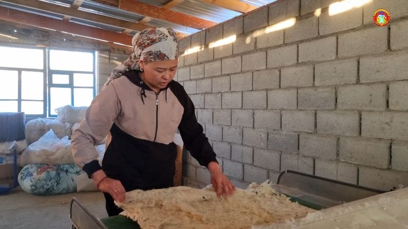 "Ауыл аманаты" помогает сельчанам из Панфиловского района расширять бизнес