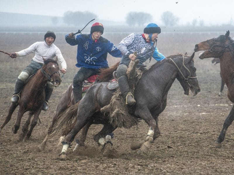 В Талдыкоргане прошел чемпионат области Жетісу по национальным конным видам спорта