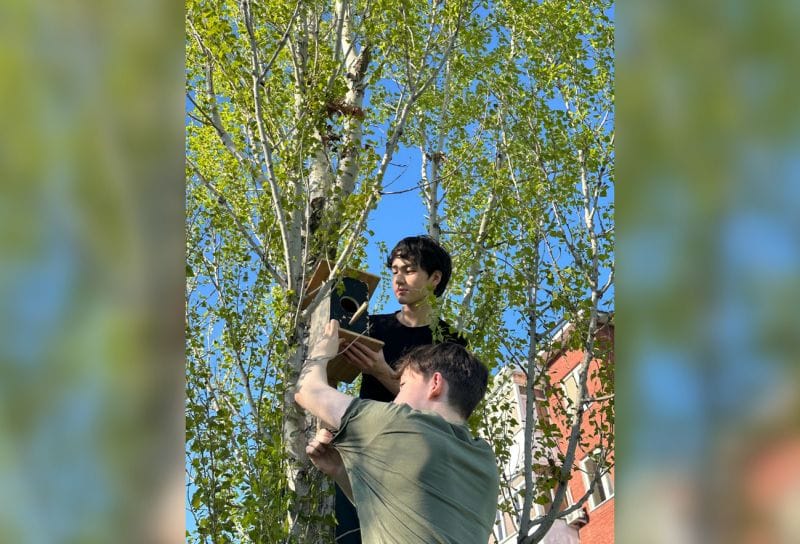 Ученики NIS Талдыкоргана дарят птицам новые домики