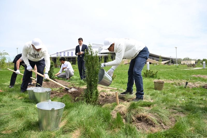 Массовая посадка деревьев в Талдыкоргане: акция "Жасыл аймақ" в действии