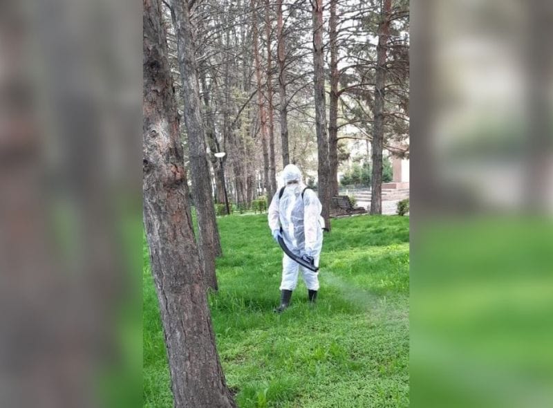 В Жетiсу активно борются с клещами: масштабная обработка территории