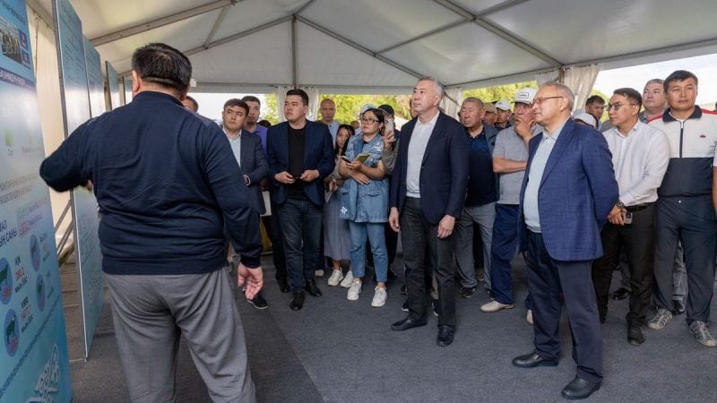 В три раза увеличить посевы сахарной свеклы планируют в Жетісу