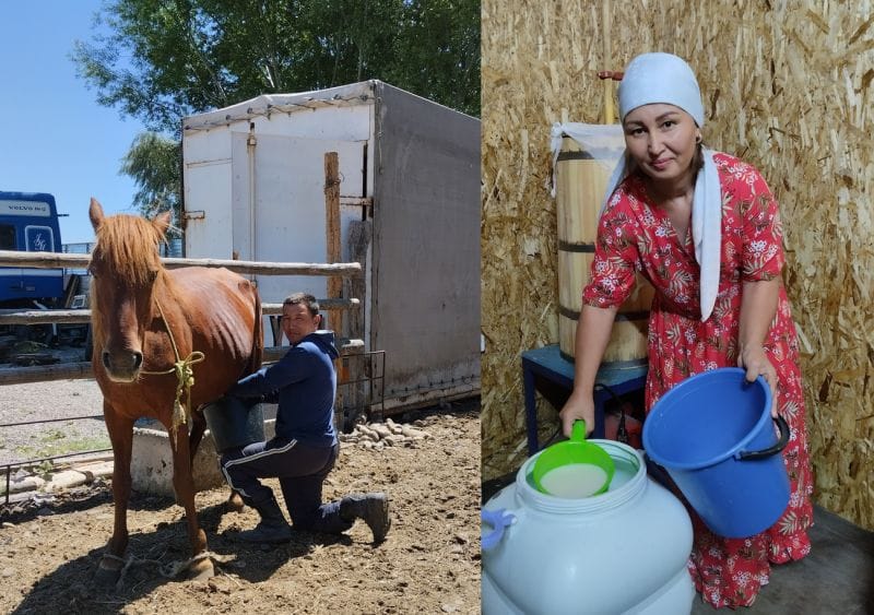 Как фермерское хозяйство "Жұлдыз" стало кумысной здравницей