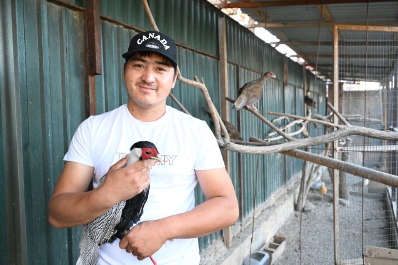 Разведением экзотических птиц занимается житель Талдыкоргана
