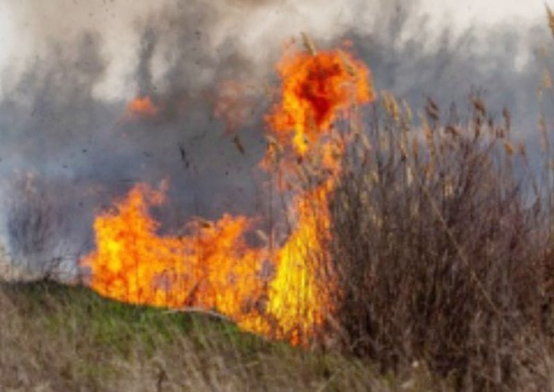 В Текели ликвидирован пожар