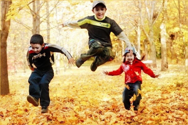 Сколько дней продлятся осенние каникулы у школьников