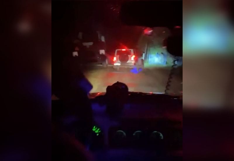 В Жетісу задержаны браконьеры, охотившиеся на краснокнижных животных