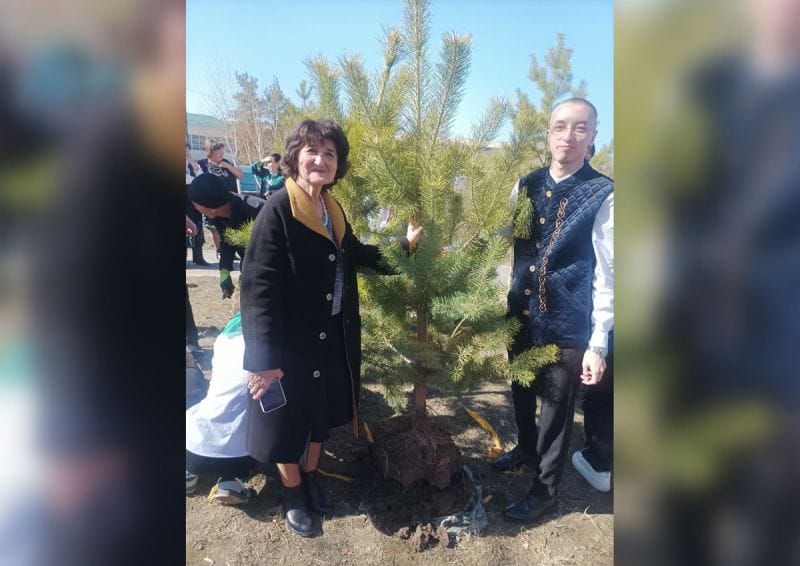Выпускники прошлых лет посадили сосны во дворе родной школы в Талдыкоргане